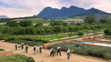 Babylonean 0122 2022 600x450 1