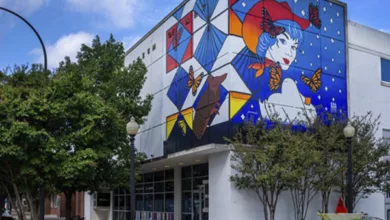 Downtown Arlington Mural Tour 7 Murals 0122 3 600x450 1