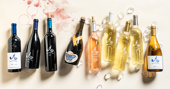 Our Wine Collection E