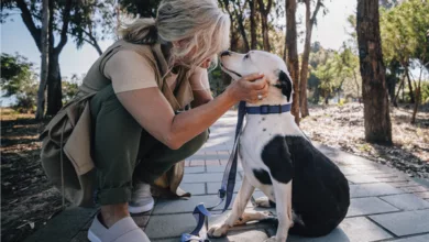 Pets — They Do Your Mind and Body Good 5 Otto pets 0222 600x450 1