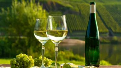 Wine Is the New Green Beer! 3 Savelle 0222 600x450 1