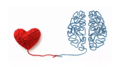 The Heart-Brain Connection 3 Shockley 0222 600x450 1