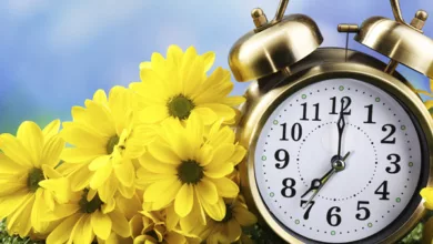 I'm Retired … and Busier than Ever! 8 Glass 0522 600x450 1