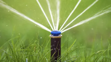 Dulac 0722 600x450 1