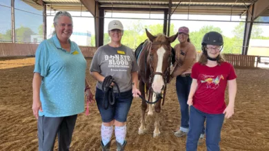 Therapeutic Activities with Horses, Humans, & Hope at Equest 11 Therapeutic Activities with Horses, Humans, & Hope at Equest