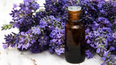 Essential Oil Basics for New Users 46 Osborn 0922 600x450 1