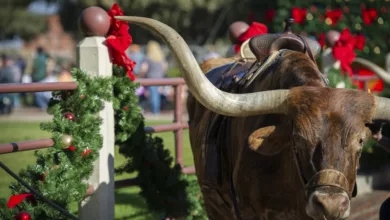 Destination Texas: Enjoy a Festive Holiday in Fort Worth 1 Scully 1122 3 900x575 1