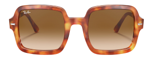 TortoiseOversized Sunglasses E