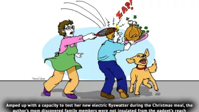 Need a Stunning Gift? Try Electric Flyswatters 4 Thomas 1222 900x575 1