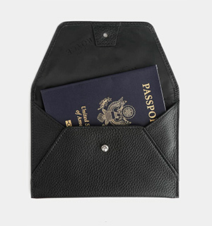 BIS Travel Tote Passport Wallet