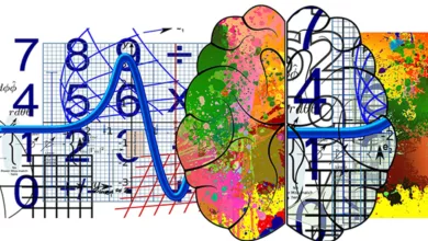 Can You Be Left-Brained AND Right-Brained? 4 Left Brained Right Brained Graphic