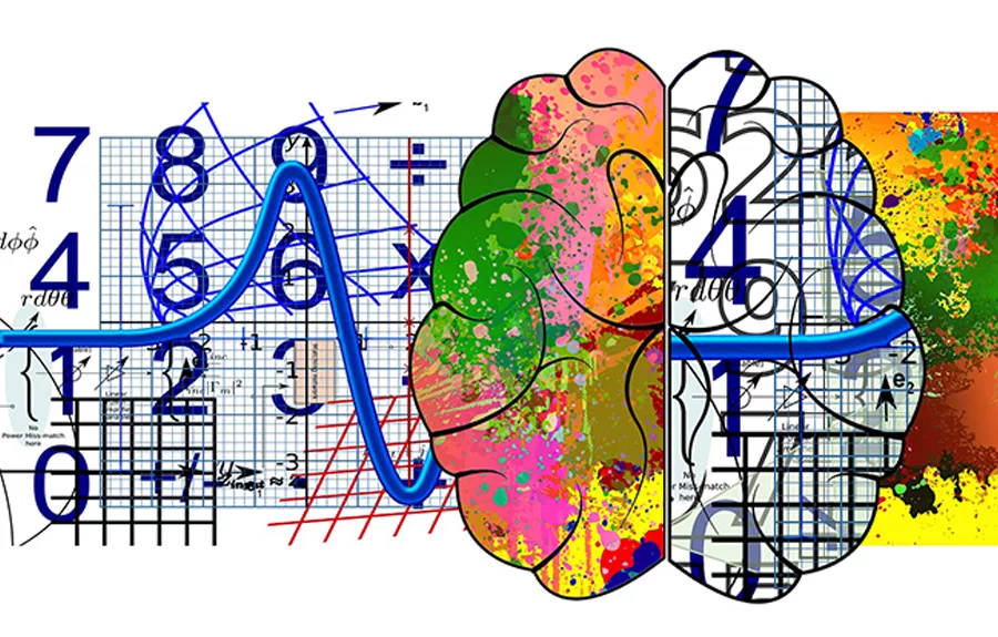 Can You Be Left Brained And Right Brained 