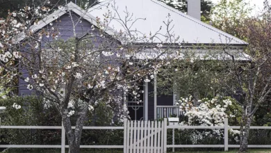 Feng Shui: What Is It? Lessons to Live in Harmony 19 Collins 0523 900x575 1