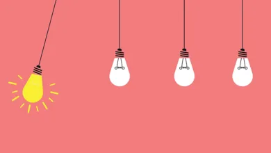 Freitag 0523 900x575 1