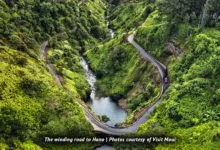 Kurtz Hana 0523 900x575 1