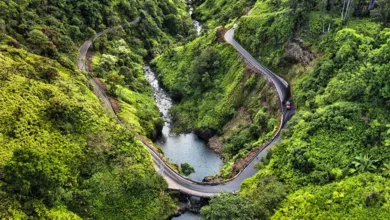 Scenic coastal view along the Road to Hana in Maui with lush green cliffs and turquoise ocean