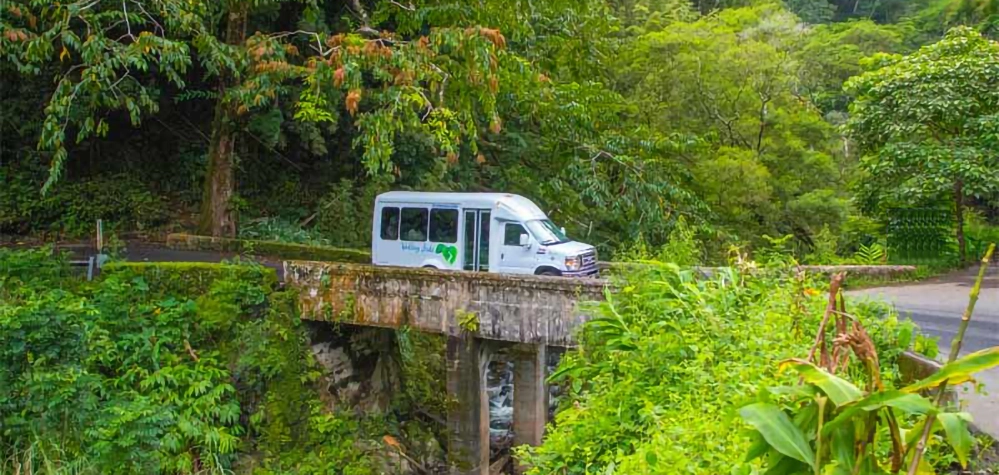 Guided van tour driving the Road to Hana through lush Maui rainforest