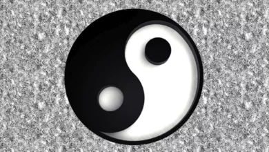 Tai Chi Over 50 1 Tai Chi for Seniors Over 50
