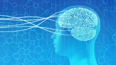 Brain-Controlled Interfaces 12 Brain-controlled interfaces