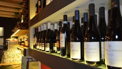 Holiday Wine Battle: Cult Wine vs. Celebrity Wine vs. Wine 12 Wine to share with family and friends