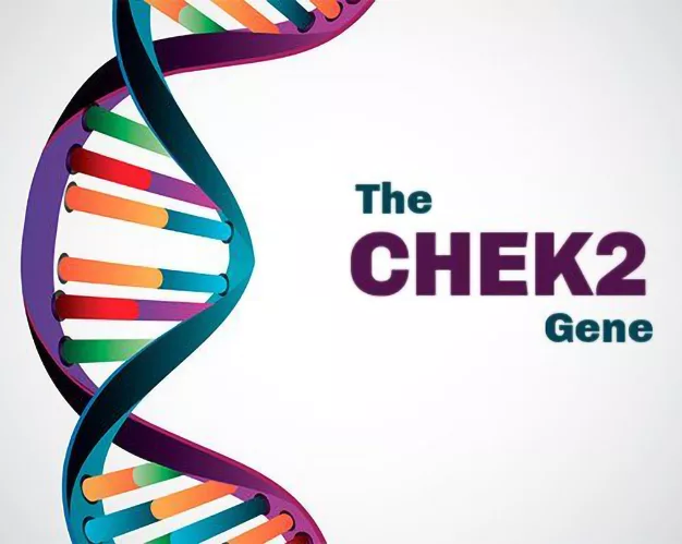 Screen for the CHEK2 gene