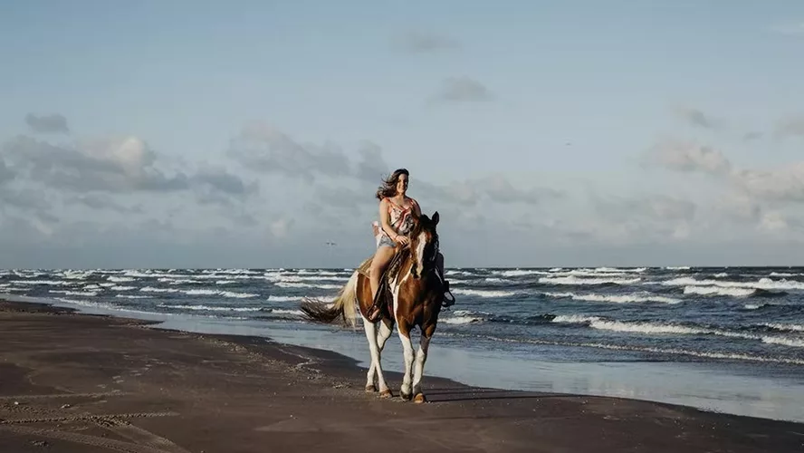 Horses on beach W jpg