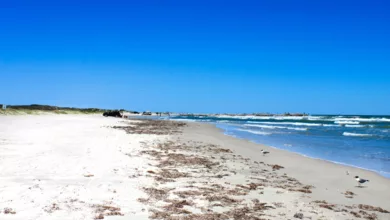 Corpus Christi, the Gulf Coast Capital 5 One of nine beautiful beaches in Corpus Christi