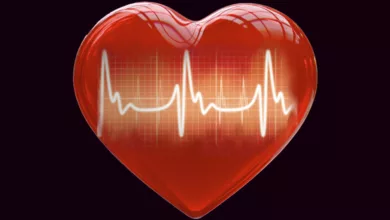 A Poem Devoted to Your Heart Health 5 Chakine 0124 780x470 1