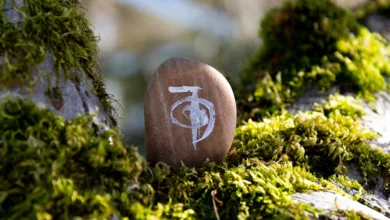 The Reiki Appeal 3 Crowe 0124 780x470 1