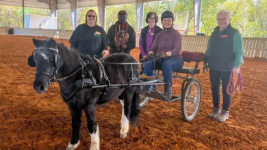 The Passion of Gail Pace 1 Volkmer 0124 780x470 1