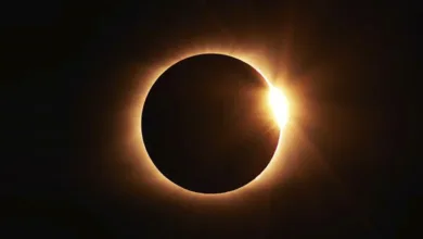 Experience a Once-in-a-Lifetime Total Solar Eclipse 1 Elliott eclipse 0324 780x470 1
