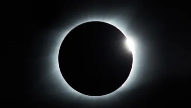 Eclipse Party on the Farm 6 Eclipse 0324 780x470 1