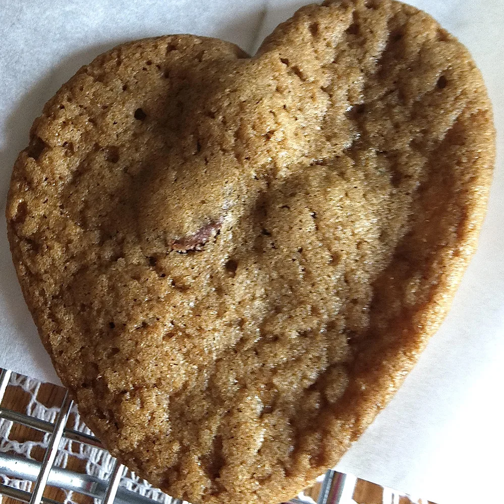 Heart Shaped Cookie W jpg