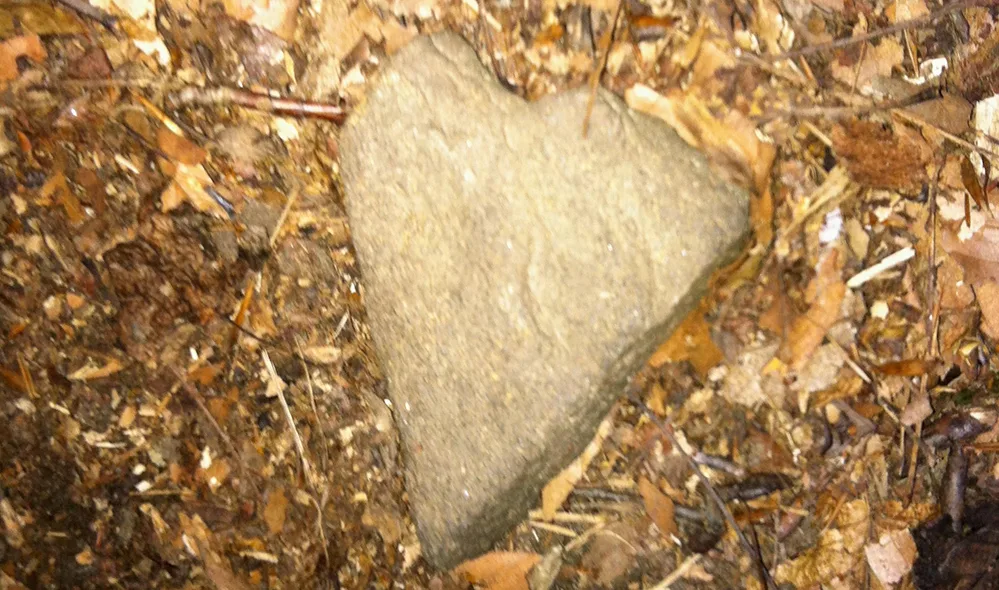 Heart shaped Stone W jpg