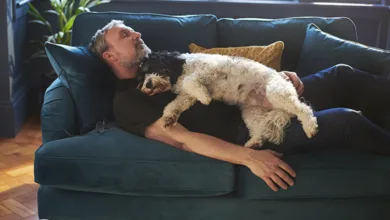 Benefits of Daytime Naps 16 Arnold 0524 780x470 1