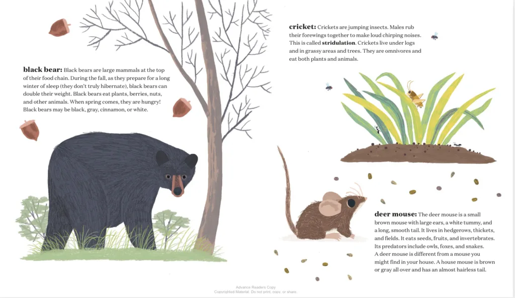 Book Review: Creep, Leap, Crunch! A Food Chain Story 4 Creep Leap Crunch7 jpg