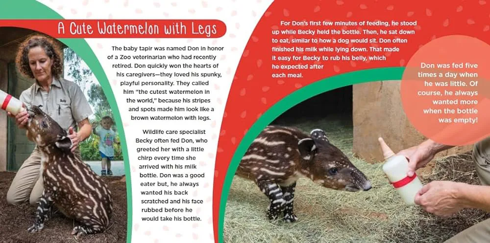 Book Review: Raising Don: The True Story of a Spunky Baby Tapir 2 Raising Don 2 jpg