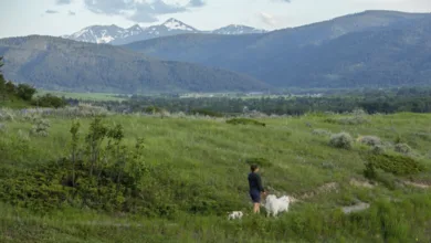 Take a Hike: The Perks of Bozeman Parks, Montana 12 Thomas Bozeman 0624 780x470 1