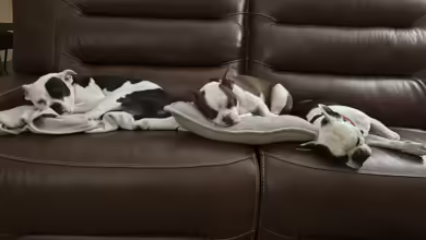 Expand Your Capacity for Love 6 Miller 0924 780x470 1