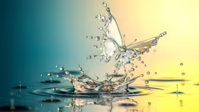 Reimagining Self-Expression 1 Weldes 0924 780x470 1