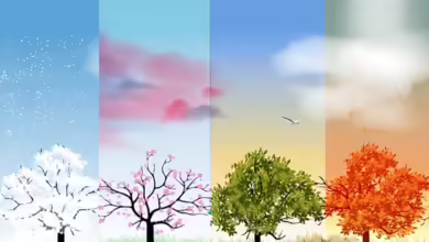 How Seasonal Changes Affect Sleep Patterns 4 Baker 0125 780x470 1