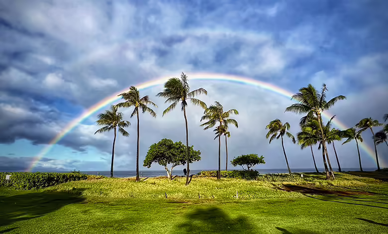 Visiting Maui After the Fires 1 Kurtz 0125 780x470 1 jpg