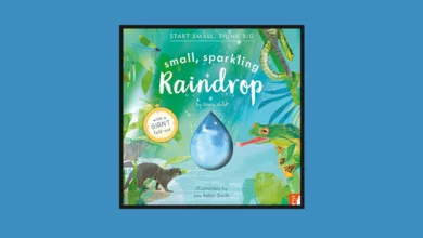 Small, Sparkling Raindrops 170 Frankel Raindrops 0325 780x470 1