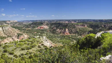 Take a Hike! Explore Palo Duro Canyon, Texas 2 Thomas PaloDuro 0525 780x470 1