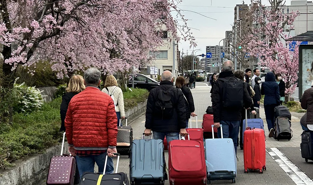 Travel Well, Travel Smart: A 50+ Globetrotter’s Journey Through Japan 4 Our group walks through a quiet Japanese street, rolling suitcases behind them as they move toward the next adventure.