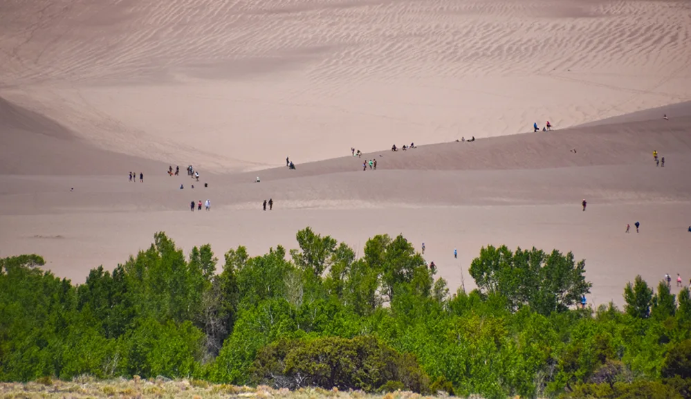 Take a Hike! Burning Sand and Towering Dunes: A Great Hike in Colorado 2 Hikers climb the towering dunes at Great Sand Dunes National Park after crossing Medano Creek, which is hidden by nearby bushes.