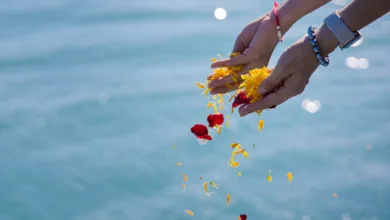 Honoring a Loved One with Ocean Ash-Scattering 9 Hands releasing flower petals over ocean water during an ash-scattering ceremony — a peaceful and symbolic farewell.