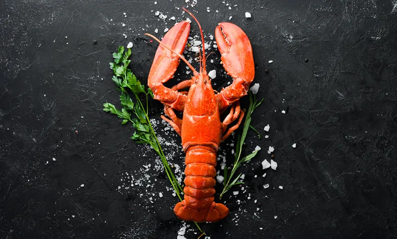 Why Lobster Became a Luxury 1 Whole cooked lobster presented on a black surface with sea salt and herbs, evoking a sense of luxury and refinement.