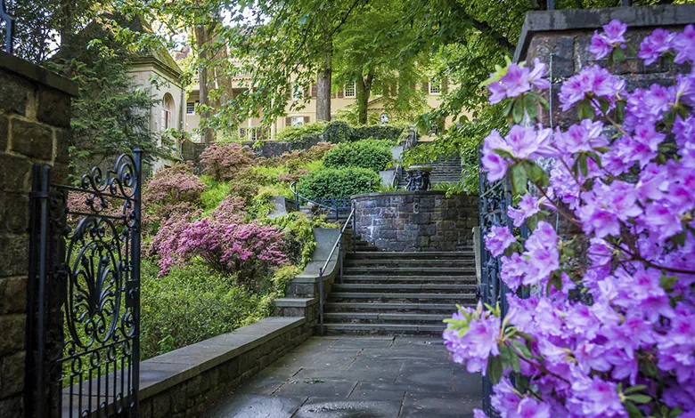 Explore Brandywine Valley: Gardens, Art, Covered Bridges & History 1 A view of Brandywine Valley in Pennsylvania, featuring gardens, historic estates, and a covered bridge nestled in lush countryside.