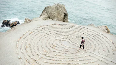 Lukovich meaning 0825 780x470 1